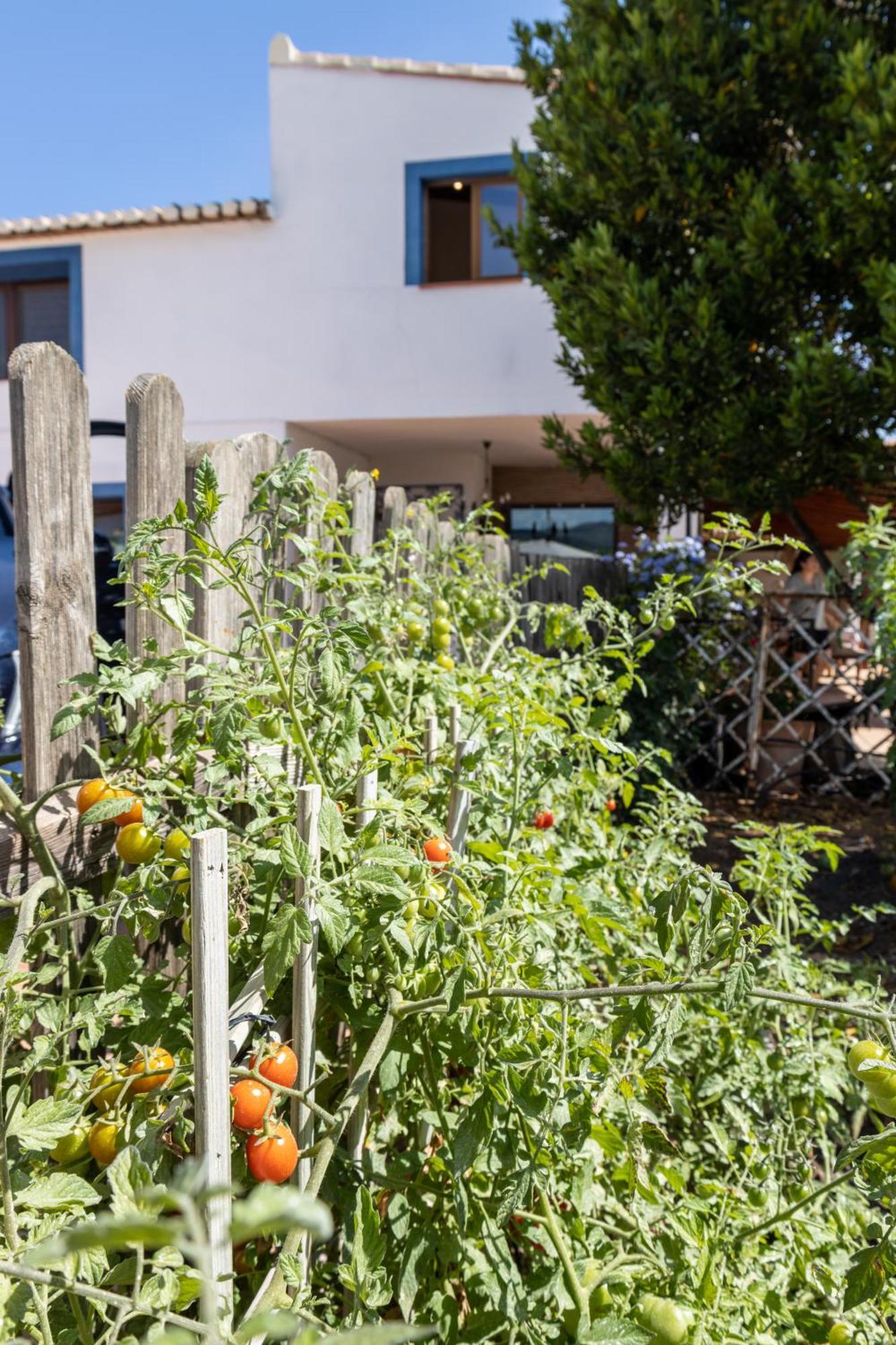 Finca La Marina Denia Kültér fotó